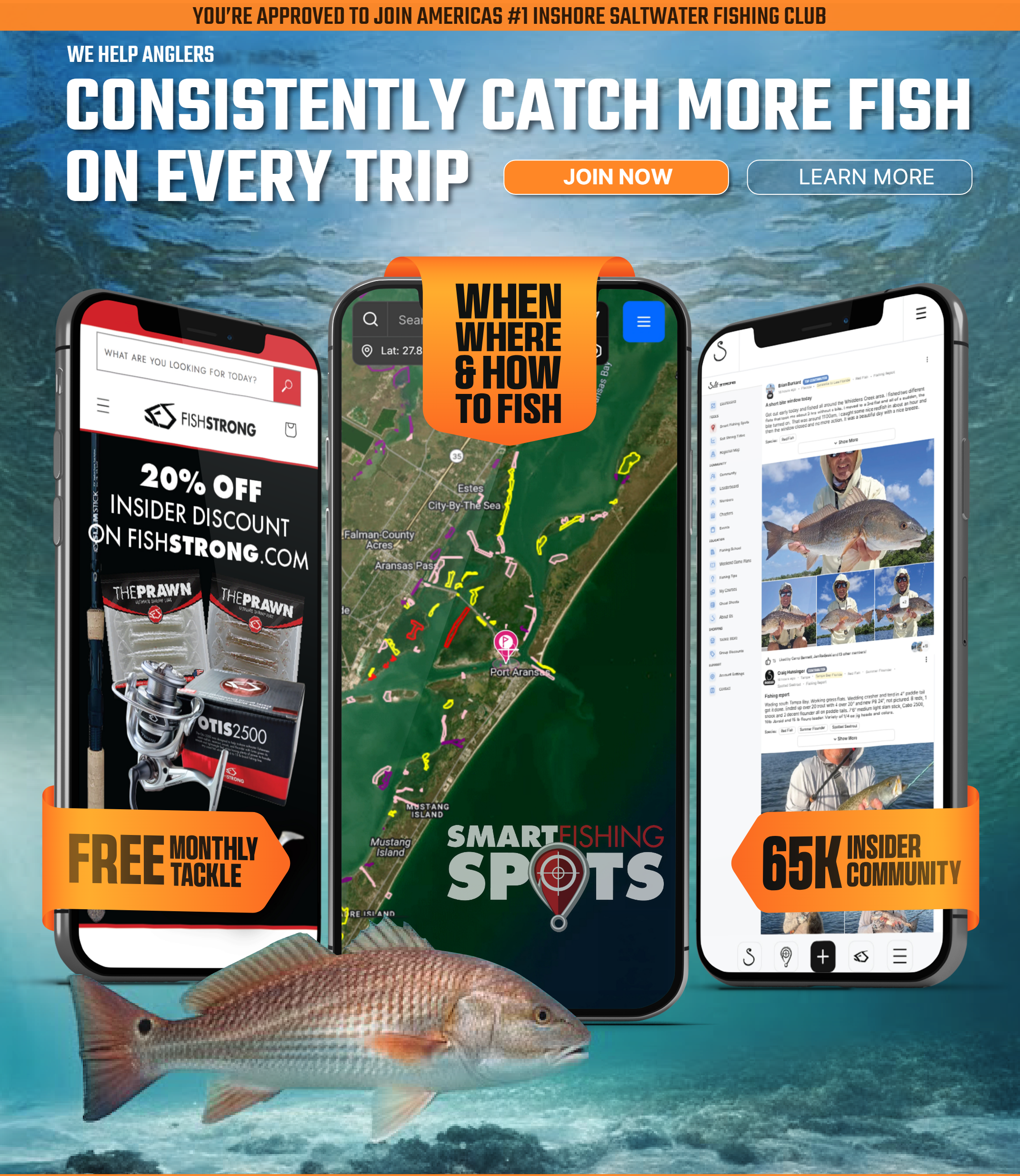 Salt Strong app on phones